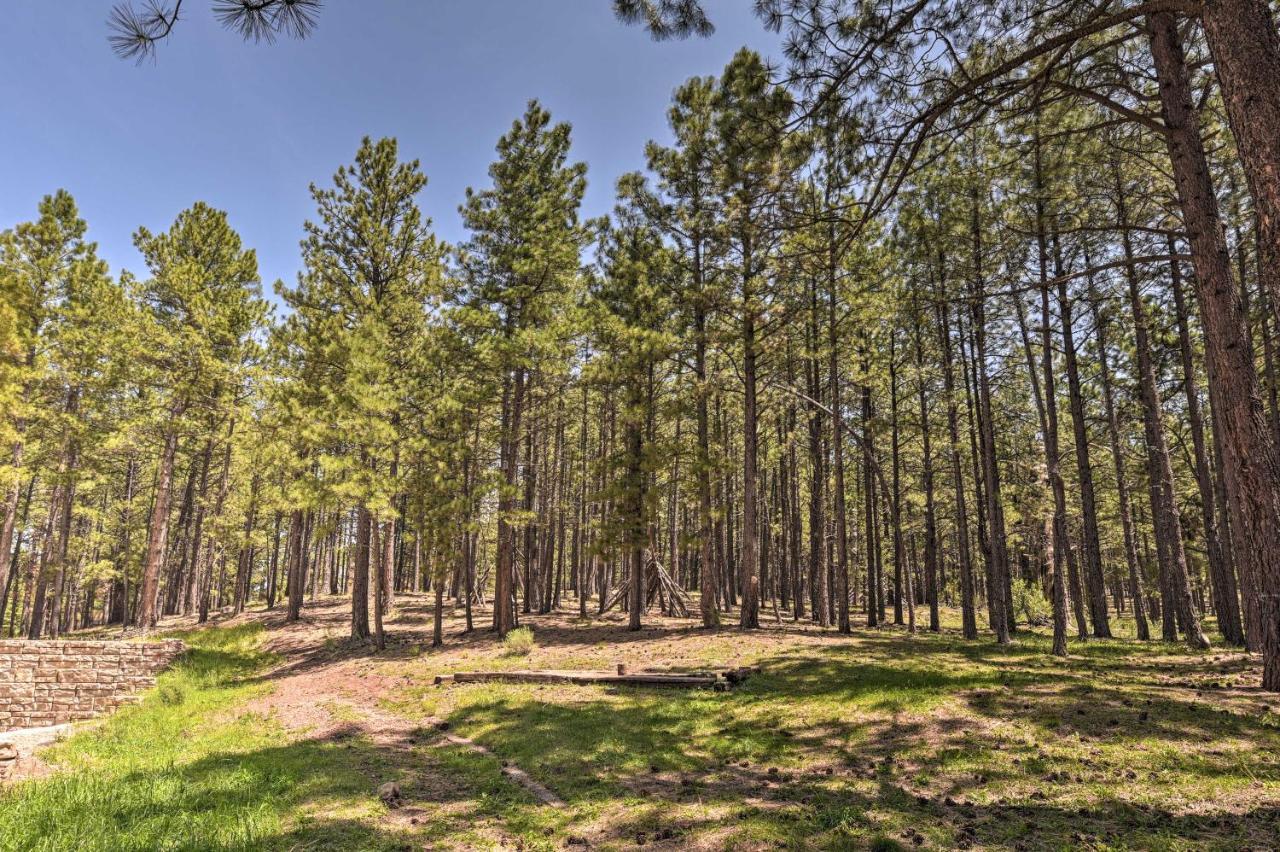 Angel Fire All-Season Escape Walk To Ski And Trails 외부 사진